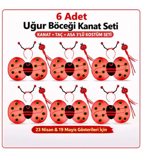 Northcity 6'lı Uğur Böceği Kostüm Seti – Kanat Taç Asa Çocuk Kostümü
