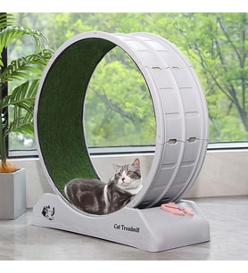 Kedi Egzersiz Çarkı – Sessiz Dayanıklı Koşu Bandı, Kedi Tekerleği ve Küçük Köpek Fitness Çarkı (Turkuaz)