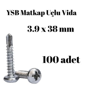 Yıldız Silindir Başlı 3.9x38 YSB Matkap Uçlu Akıllı Vida 100 Adet