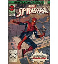 Erik Poster Marvel Spider-Man Comic des