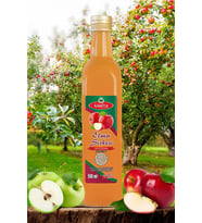 Northcity Elma Sirkesi %100 Doğal Katkısız 500 ml - Fermente, Pastörize Edilmemiş Saf Elma Sirkesi