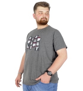 Mode XL Büyük Beden T-Shirt Bisiklet Yaka Complex City 22170 Antramelanj