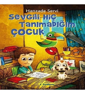 Sevgili Hiç Tanımadığım Çocuk