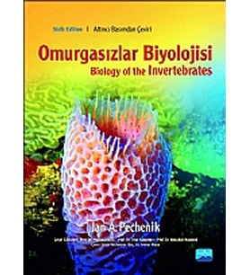 Omurgasızlar Biyolojisi (Krem)