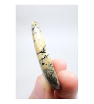 Sarı Dendritik Akik Kabaşon- 70 Ct Damlataşı Örneği, 14g