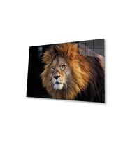 Aslan Cam Tablo 4mm Dayanıklı Temperli Cam (Çok Renkli)