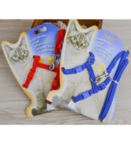 Kedi Tasması