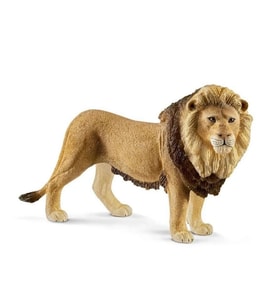 Erkek Aslan