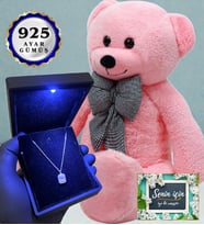 Işıklı Kutusunda 925 Ayar Gümüş Kolye ve 80cm Pembe Peluş Ayıcık (Model 3)