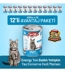 Ton Balıklı Yetişkin Yaş Kedi Maması 400 g - 12 Adet