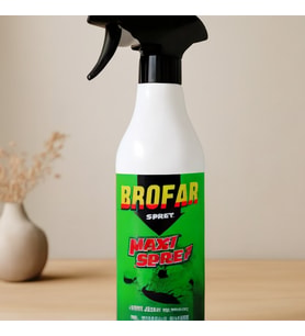 Northcity Sıvı Böcek İlacı Sprey 450 ml - Sinek, Karınca, Pire