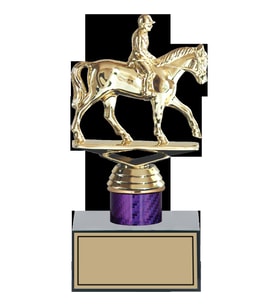 ODAK KUPA - Figürlü Kupalar - At / Binici Figürlü Kupalar FG-002 C - 19 cm