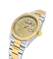 Polo Air Ay Gün Gösterge Takvimli Erkek Kol Saati Gold Gümüş Renk PL-7076E9x (Altın-Gümüş)