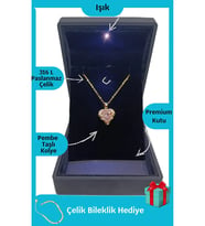 Sevgililer Gününe Özel Işıklı Premium Kutuda Gold Renk Okyanus Kalbi Pembe Çelik Kolye