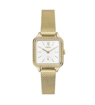 Fossil FBQ3972 Kadın Kol Saati