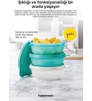 Tupperware Saklama Ve Servis Kabı 3 Lü Set 300 Ml