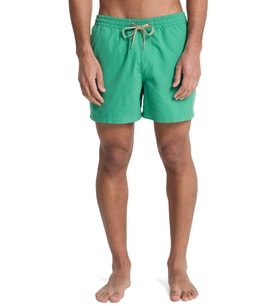 Quiksilver Everyday 15 Erkek Deniz Şortu