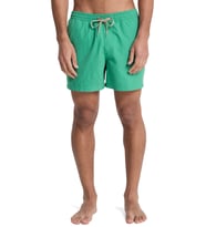 Quiksilver Everyday 15 Erkek Deniz Şortu