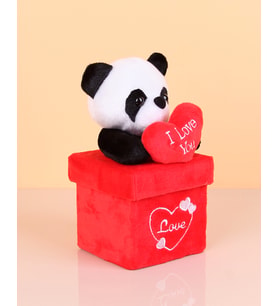 Peluş PandaKutu