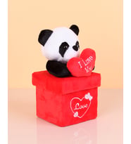 Peluş PandaKutu