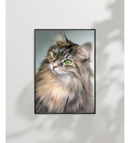Uzun Tüylü Gri Kedi Poster (Çok Renkli)