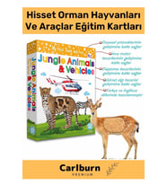 Özel Üretim Görsel Algı Eğlenceli Öğrenme Hisset Orman Hayvanları Ve Araçlar Eğitim Kartları