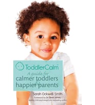 Toddlercalm: A Guide For Calmer Toddlers And Happier Parents