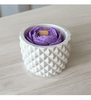 Hediye El Yapımı Beton Kalıpta Dekoratif %100 Doğal Soya Wax Mum