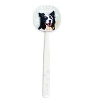 Rocs Flipper Pets Hijyenik Saklama Kabı ve Yetişkin Diş Fırçası Seti (Köpek) Beyaz 