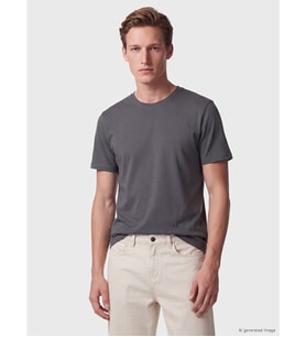 LCWAIKIKI Classic Antrasit Regular Fit İnce Kumaş Tişört /03
