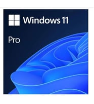 MS WINDOWS 11 PRO 32/64 BIT TR KUTU USB HAV-00159