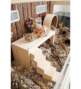 Doğal Ahşap Hamster Platformu & Oyun Alanı 25x11x10 cm - Kemirgen Ara Kat Yuvası