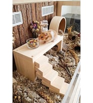 Doğal Ahşap Hamster Platformu & Oyun Alanı 25x11x10 cm - Kemirgen Ara Kat Yuvası