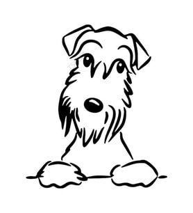 Schnauzer köpek araba Sticker Yapıştırması