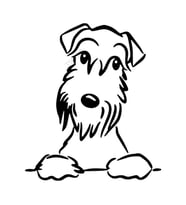 Schnauzer köpek araba Sticker Yapıştırması