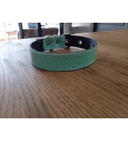 Neon Renkli Deri Kedi Köpek Tasması (Turkuaz)