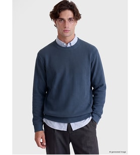LCW Vision Petrol Bisiklet Yaka Erkek Kalın Sweatshirt