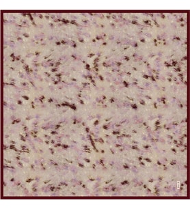 941 Aker Twill İpek Eşarp 9051713