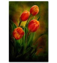 Cakatablo Kırmızı Laleler Loş Mod MDF Tablo