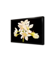 Çiçek Çerçeveli Mdf Tablo