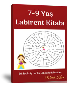 7-9 Yaş İçin Labirent Bulmaca Kitabı