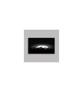 DBSanatevi Cadılar Bayramı Ay Işığı Tablo 60 X 80 Cm
