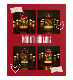 İncili Ledli Gül Fanus
