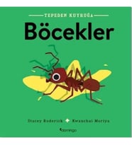 Böcekler- Tepeden Kuyruğa