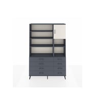 Arges Dolap 8 Raflı 8 Çekmeceli Tek Kapaklı  132x30x195 Antrasit-Aytaşı/Antrasit