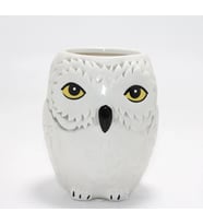 Harry Potter Hedwig Tasarım Porselen Kupa Bardak