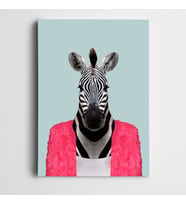 Pembe Hırkalı Zebra Kanvas Tablo