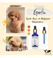 Köpeklerimiz İçin İstah Açıcı Bağışıklık Güçlendirici 50 ml