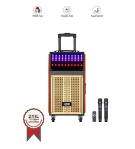 Torima NDR-108R Turuncu Kablosuz Mikrofonlu Uzaktan Kumandalı RGB Işıklı Bluetooth Hoparlör