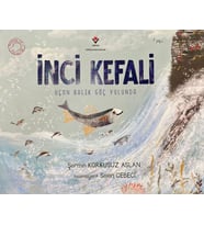 İnci Kefali